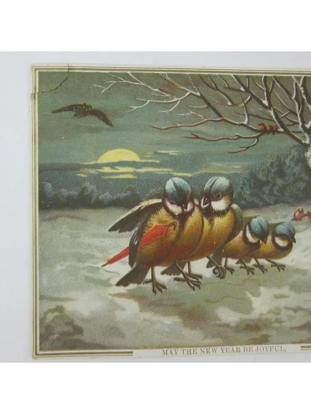 Victorian Greeting Card New Years Titmouse Birds Red Umbrella Snow Trees Antique